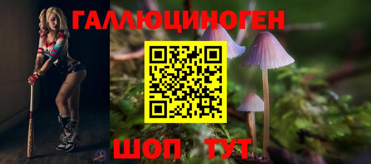 хочу   Вход с VPN  Приморско-Ахтарск  Псилоцибиновые грибы Cubensis  Псилоцибиновые грибы мицелий 